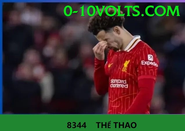 Cá Cược Thể Thao - Trải nghiệm tuyệt vời